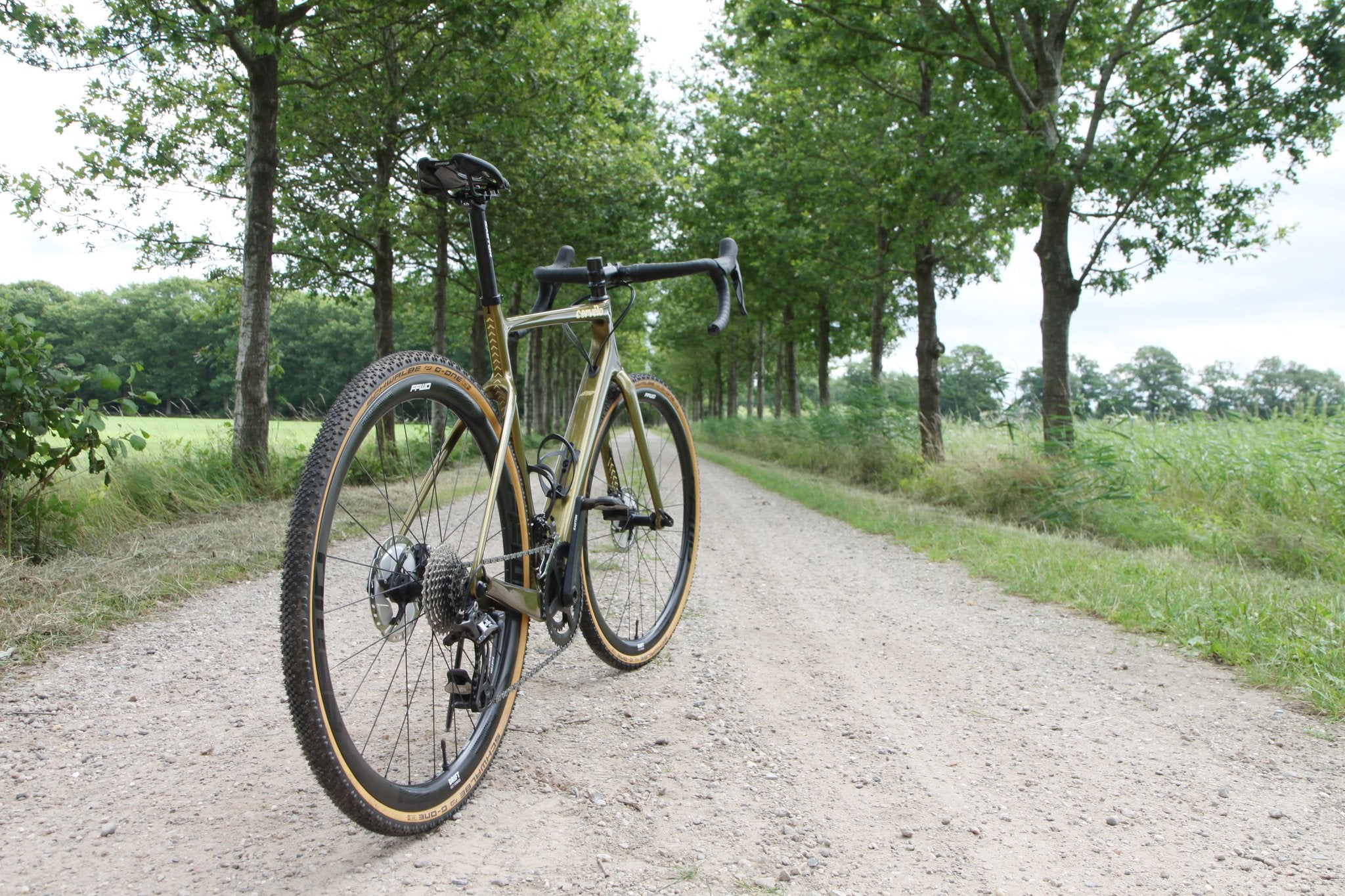 High Quality Bike Wheels, Bike Tyres and Wheelset for Sale Bike Wheels